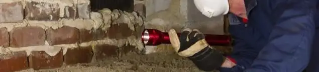 Pest control technician inspecting a crawl space for ant activity and entry points in Staten Island, NY