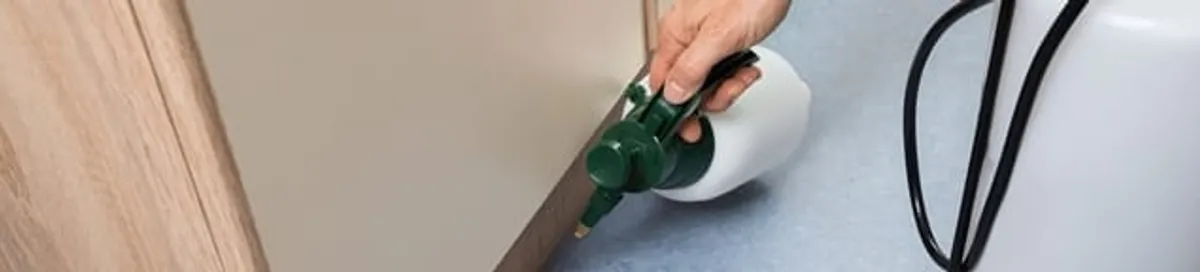 Bed bug exterminator treating baseboards and cracks with targeted spray in Staten Island, NY