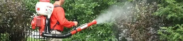 Mosquito control technician fogging shrubs and landscaping for mosquito treatment in Staten Island, NY