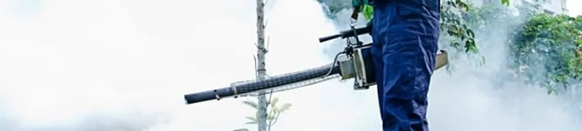Pest control technician fogging an outdoor area for insect control in Staten Island, NY