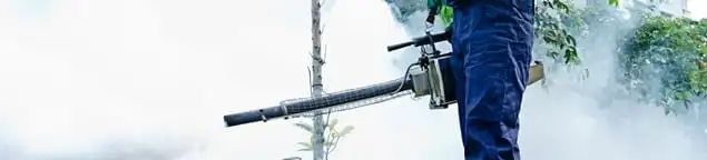 Pest control technician fogging an outdoor area for insect control in Staten Island, NY