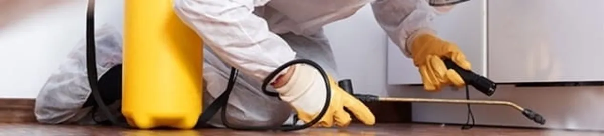 Roach exterminator treating cracks and crevices along kitchen baseboards in Staten Island, NY