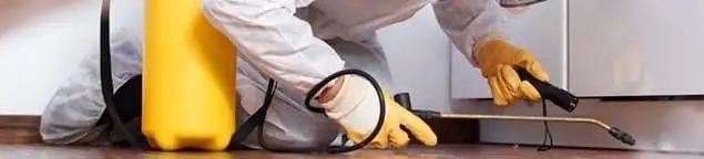 Roach exterminator treating cracks and crevices along kitchen baseboards in Staten Island, NY