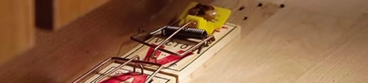 Rodent trap set indoors for rodent control and prevention in Staten Island, NY