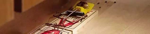 Rodent trap set indoors for rodent control and prevention in Staten Island, NY